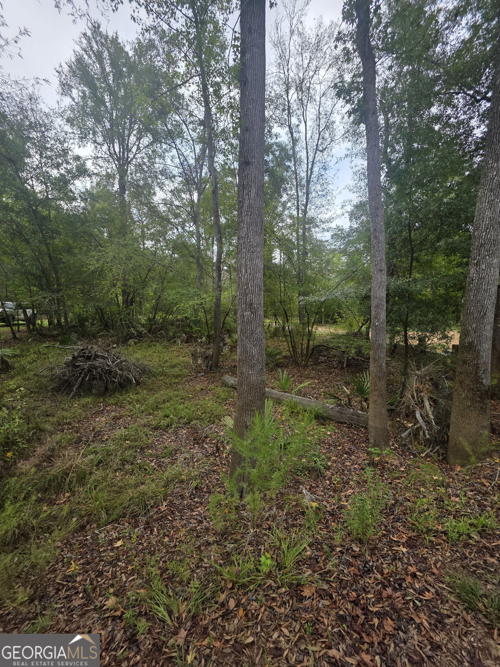 0 Morris Landing Road Baxley, GA 31513 - Photo 5 of 6 Gallery Image 5