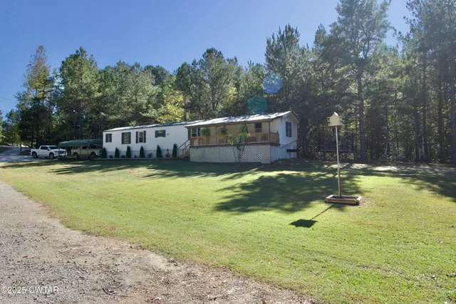 a view of a yard with plants