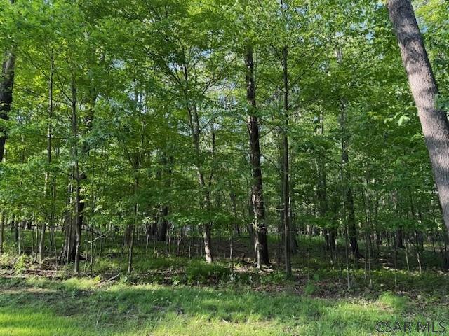 Baumgardner Road Salix, PA 15952 - Photo 14 of 14 Gallery Image 14