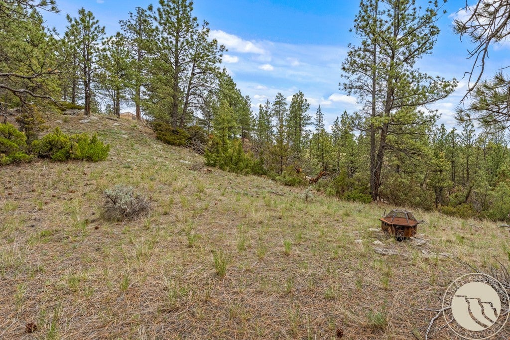5 Appaloosa Rdg Road Reed Point, MT 59069 - Photo 10 of 34 Gallery Image 10