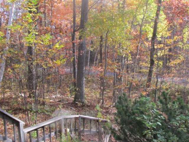 651 Springview Drive Eagle River, WI 54521 - Photo 2 of 20 Gallery Image 2