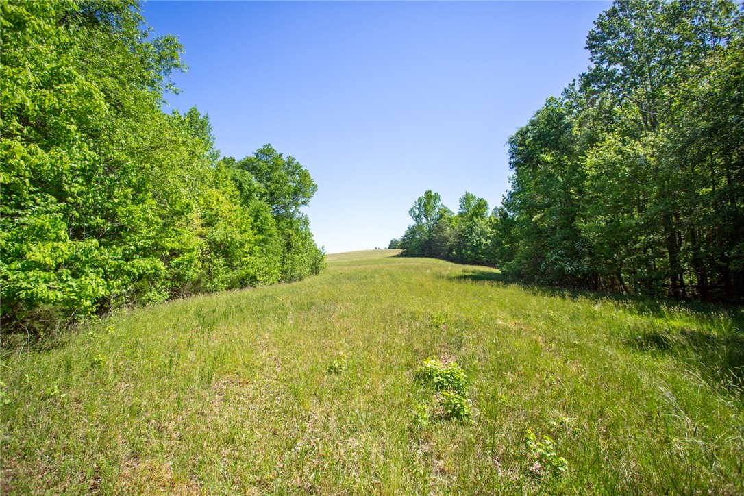 249 Farmers Hill Road Liberty, SC 29657 - Photo 17 of 49