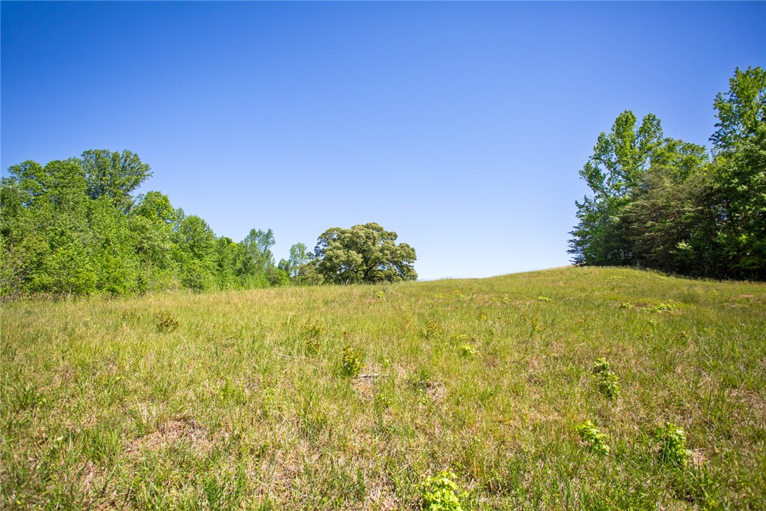 249 Farmers Hill Road Liberty, SC 29657 - Photo 18 of 49