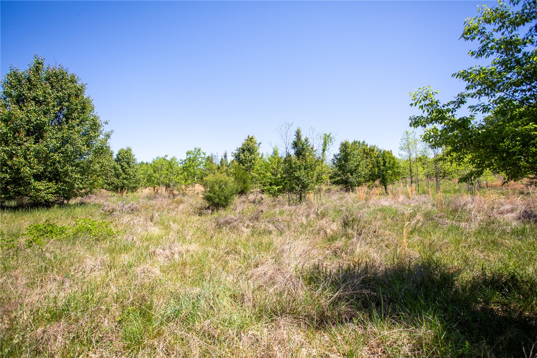 249 Farmers Hill Road Liberty, SC 29657 - Photo 19 of 49