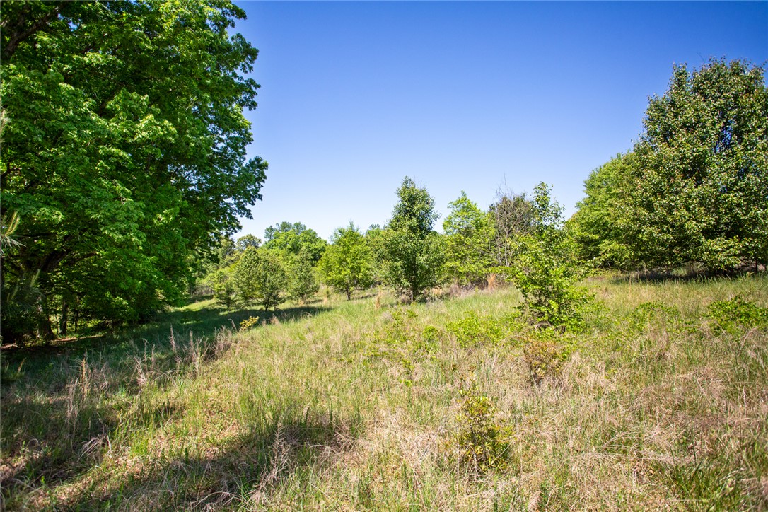 249 Farmers Hill Road Liberty, SC 29657 - Photo 20 of 49