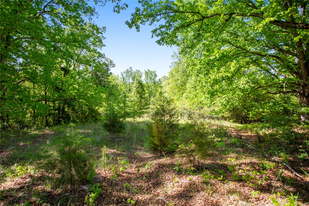 249 Farmers Hill Road Liberty, SC 29657 - Photo 21 of 49