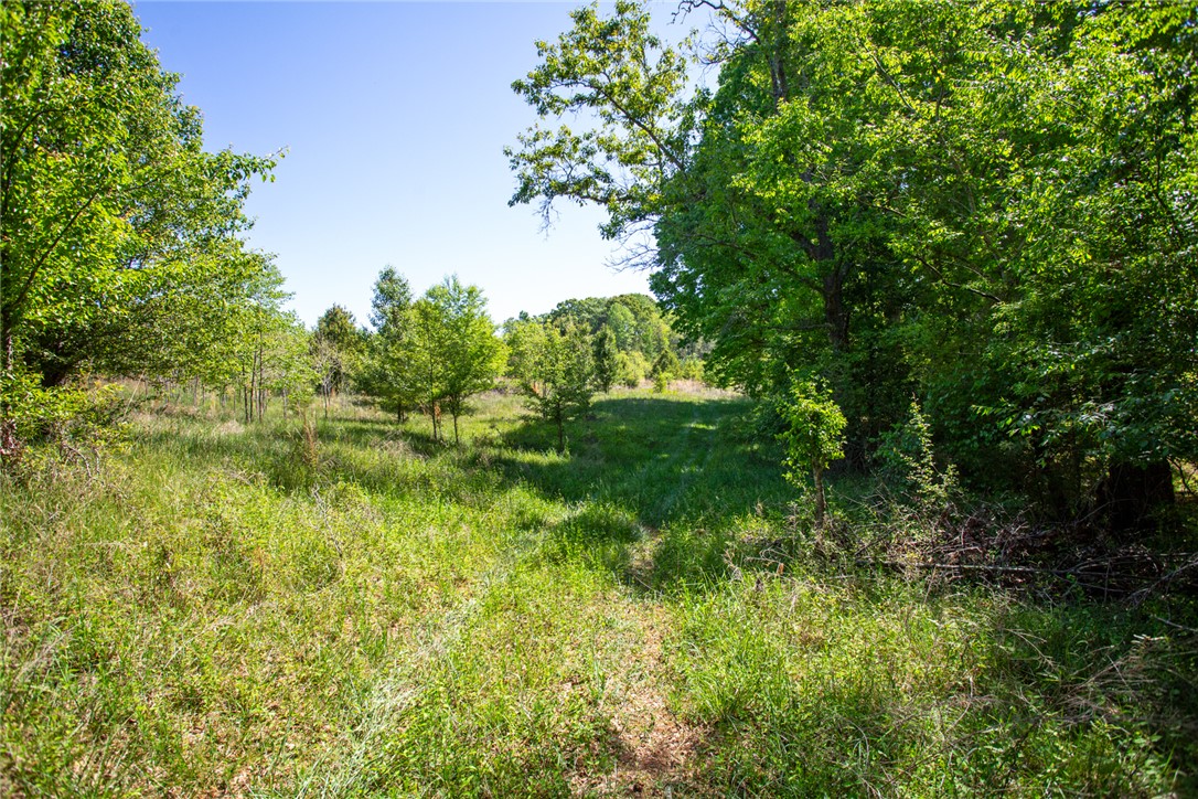 249 Farmers Hill Road Liberty, SC 29657 - Photo 22 of 49