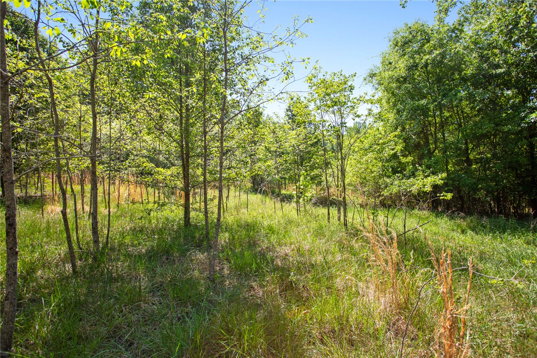 249 Farmers Hill Road Liberty, SC 29657 - Photo 23 of 49