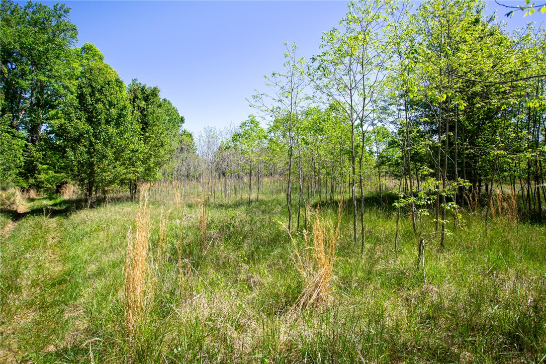 249 Farmers Hill Road Liberty, SC 29657 - Photo 24 of 49