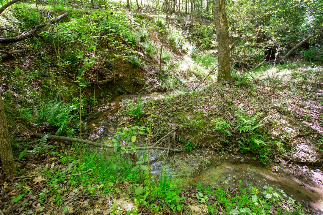 249 Farmers Hill Road Liberty, SC 29657 - Photo 26 of 49