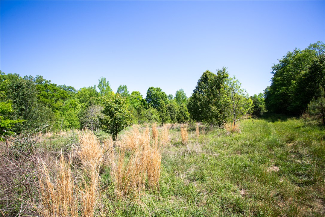 249 Farmers Hill Road Liberty, SC 29657 - Photo 29 of 49