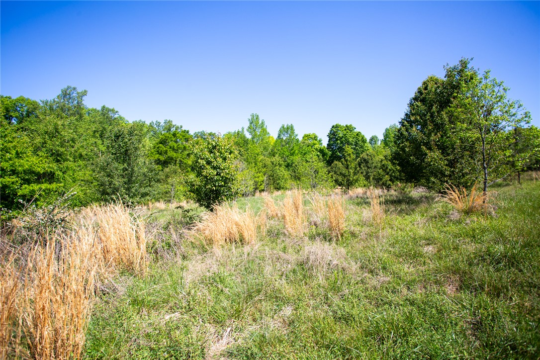 249 Farmers Hill Road Liberty, SC 29657 - Photo 30 of 49