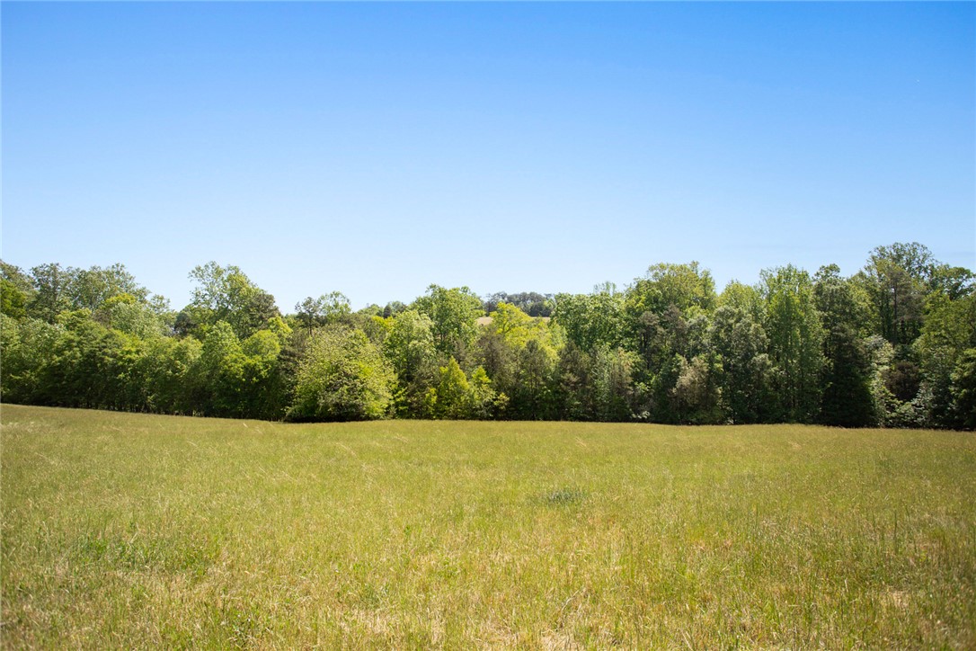 249 Farmers Hill Road Liberty, SC 29657 - Photo 3 of 49
