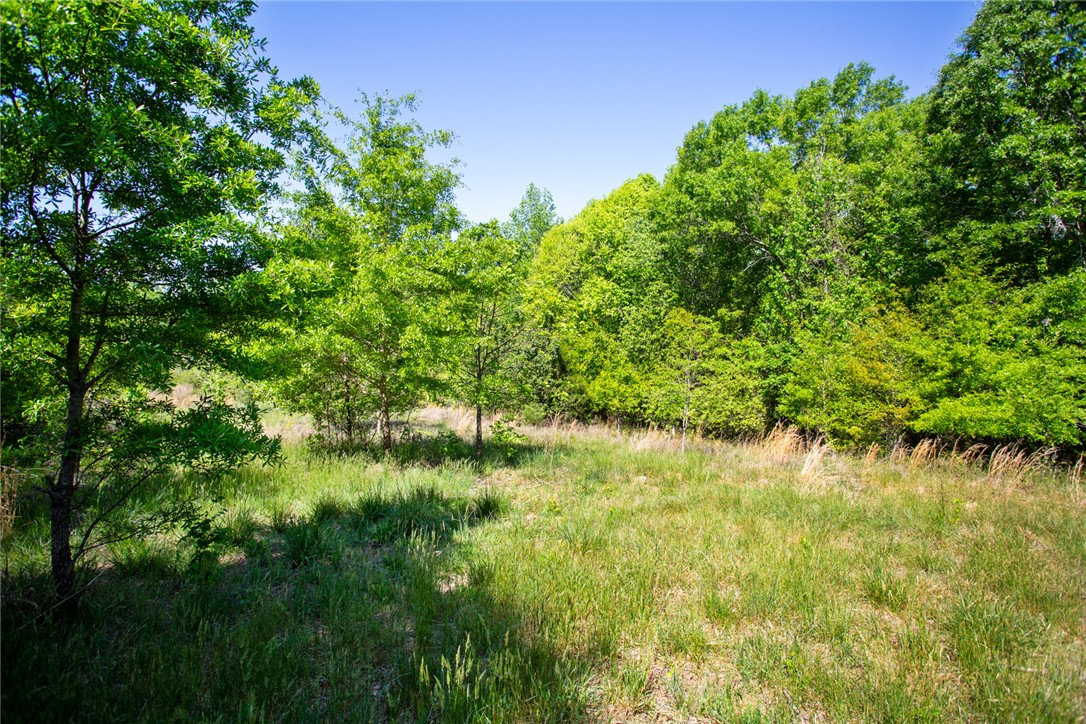249 Farmers Hill Road Liberty, SC 29657 - Photo 31 of 49