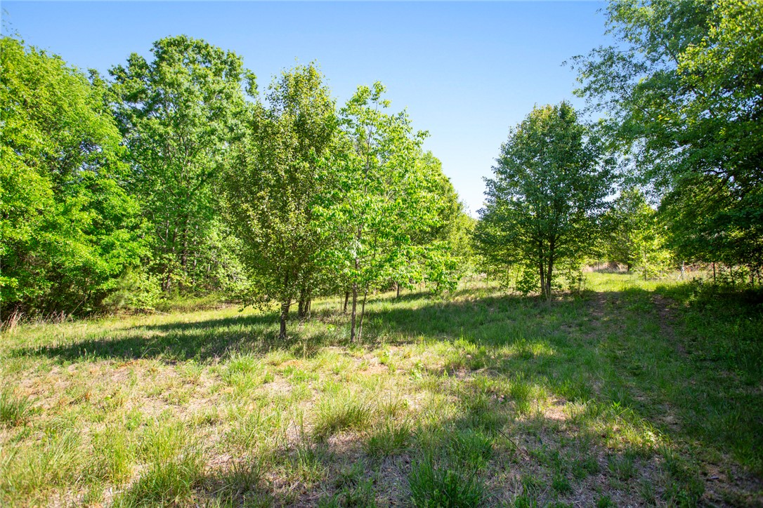 249 Farmers Hill Road Liberty, SC 29657 - Photo 32 of 49