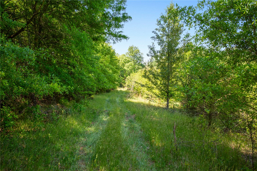 249 Farmers Hill Road Liberty, SC 29657 - Photo 33 of 49