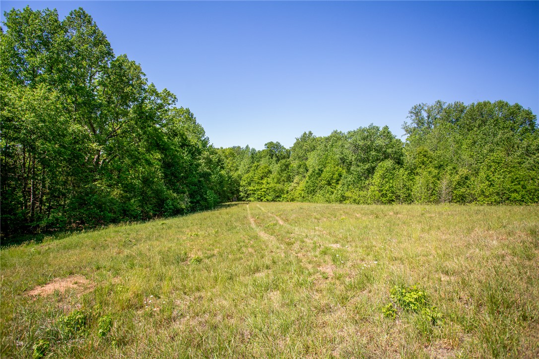 249 Farmers Hill Road Liberty, SC 29657 - Photo 34 of 49