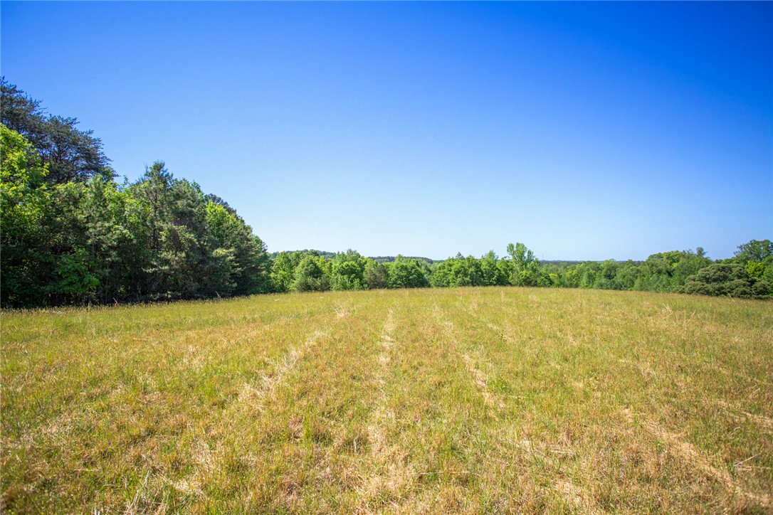 249 Farmers Hill Road Liberty, SC 29657 - Photo 36 of 49