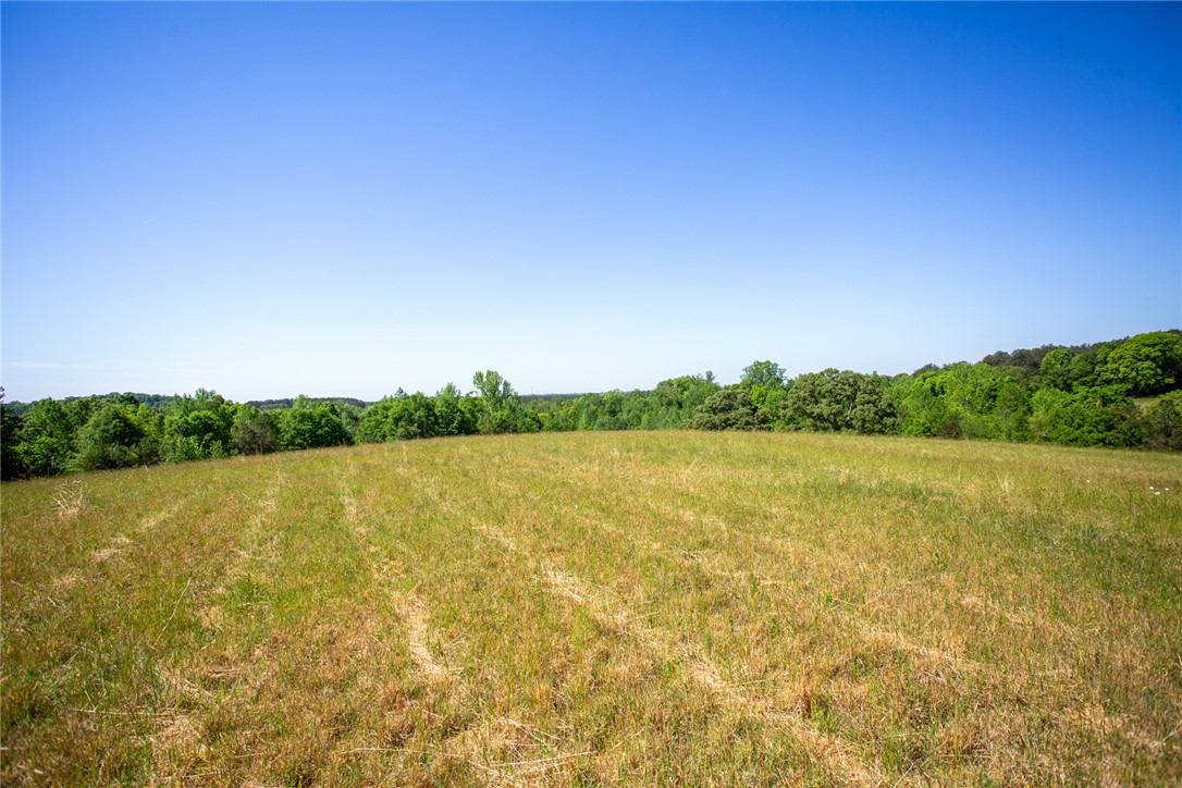 249 Farmers Hill Road Liberty, SC 29657 - Photo 37 of 49