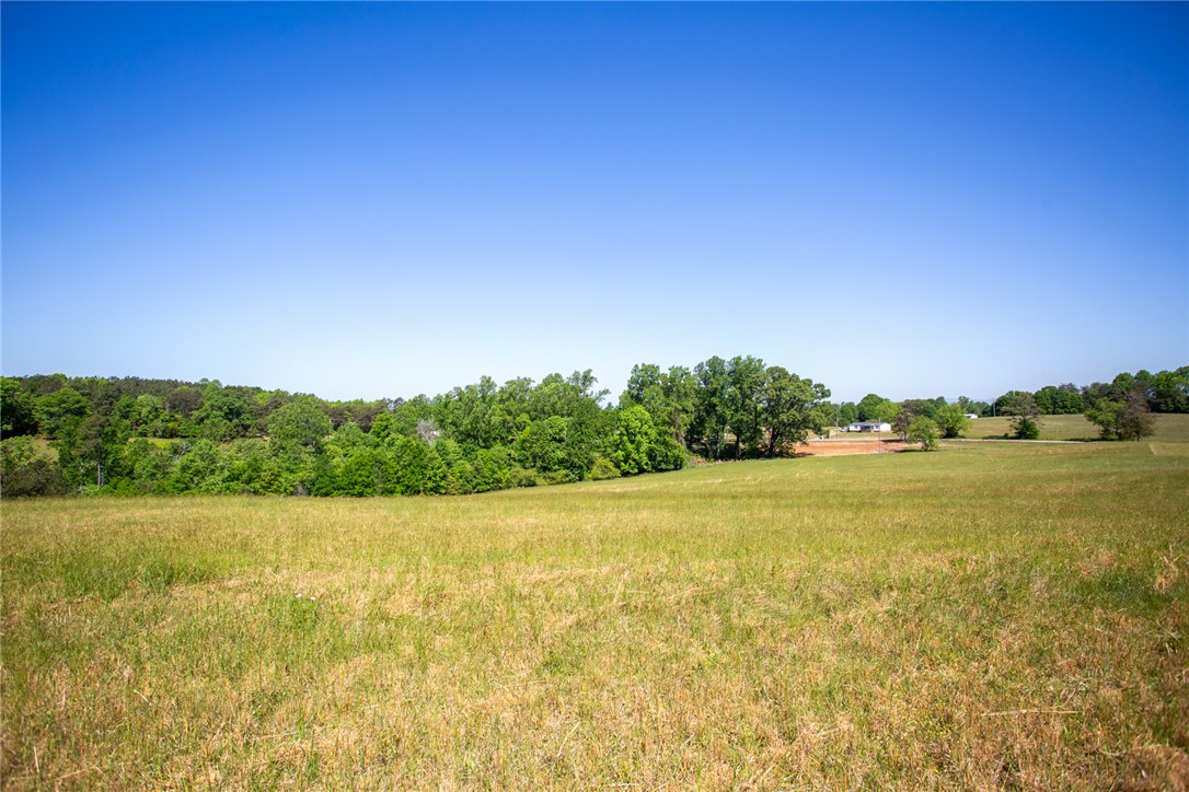 249 Farmers Hill Road Liberty, SC 29657 - Photo 38 of 49