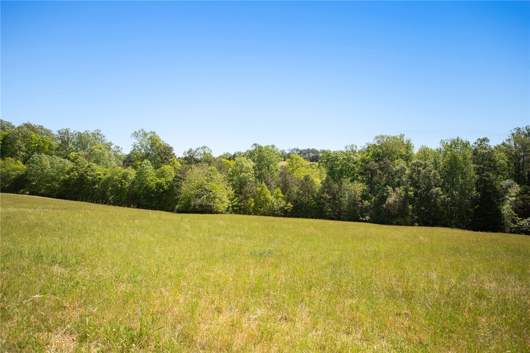 249 Farmers Hill Road Liberty, SC 29657 - Photo 4 of 49