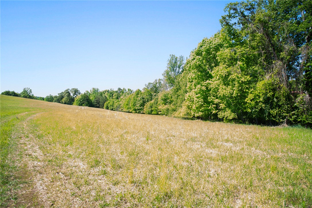 249 Farmers Hill Road Liberty, SC 29657 - Photo 44 of 49