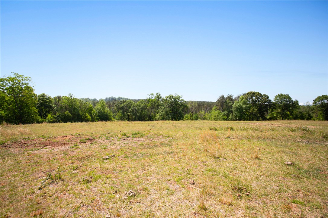 249 Farmers Hill Road Liberty, SC 29657 - Photo 5 of 49