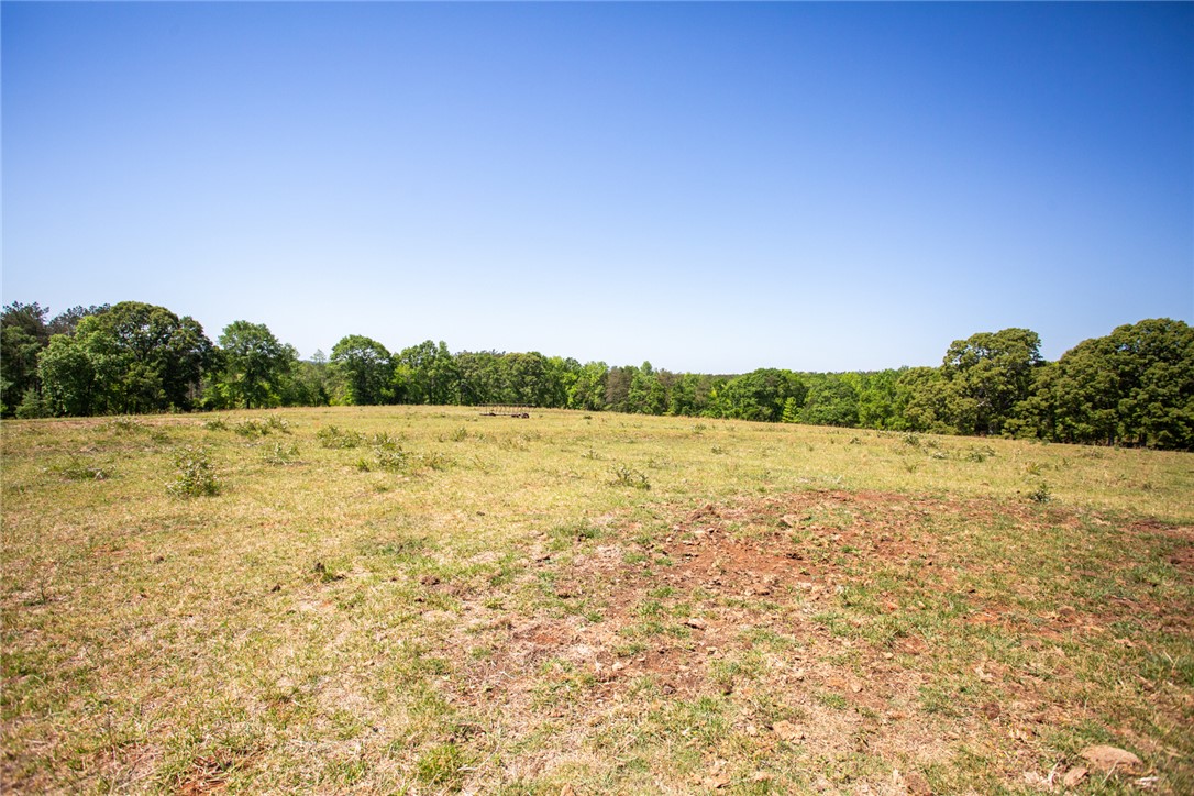 249 Farmers Hill Road Liberty, SC 29657 - Photo 6 of 49