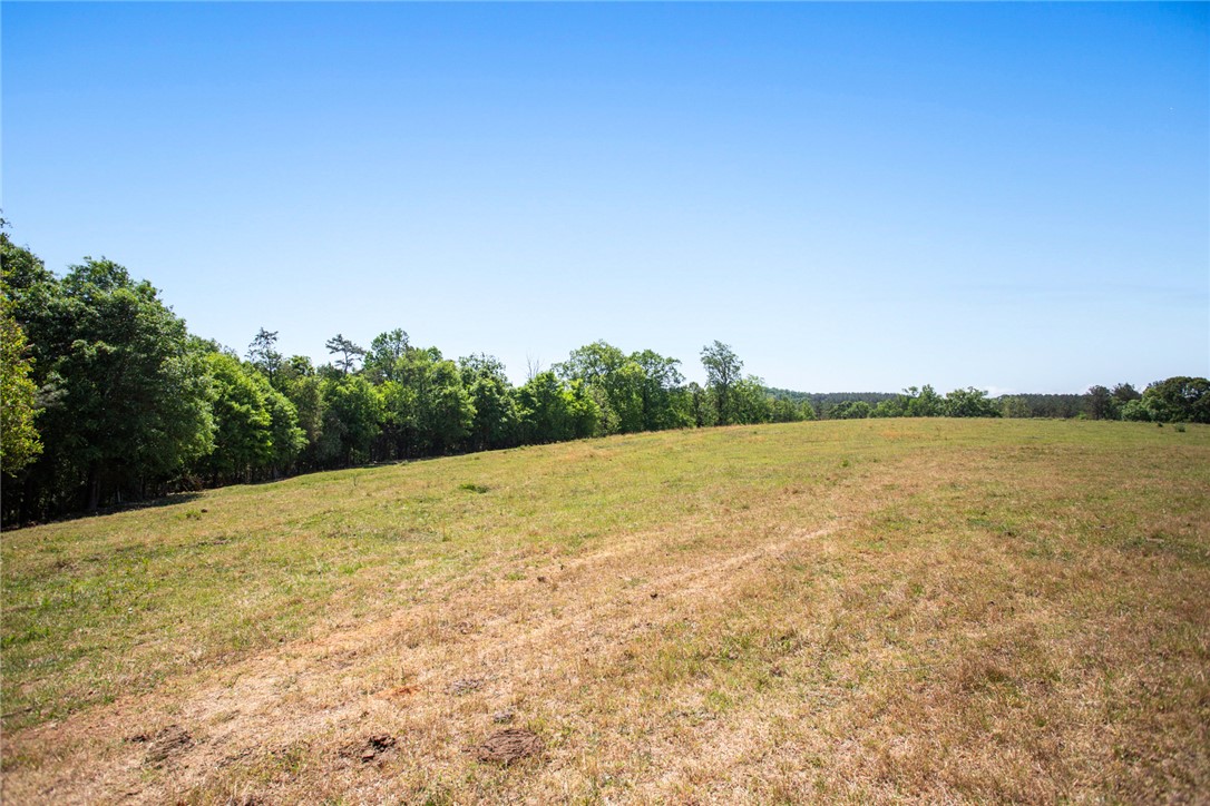 249 Farmers Hill Road Liberty, SC 29657 - Photo 7 of 49
