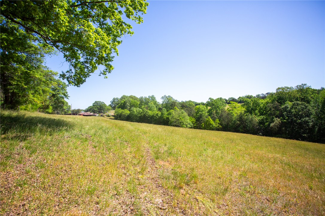 249 Farmers Hill Road Liberty, SC 29657 - Photo 8 of 49