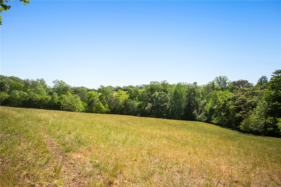 249 Farmers Hill Road Liberty, SC 29657 - Photo 9 of 49
