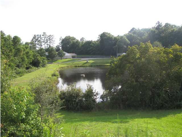 5318 Monterrey Road Crestview, FL 32539 - Photo 1 of 7 Vista Overlooking Pond