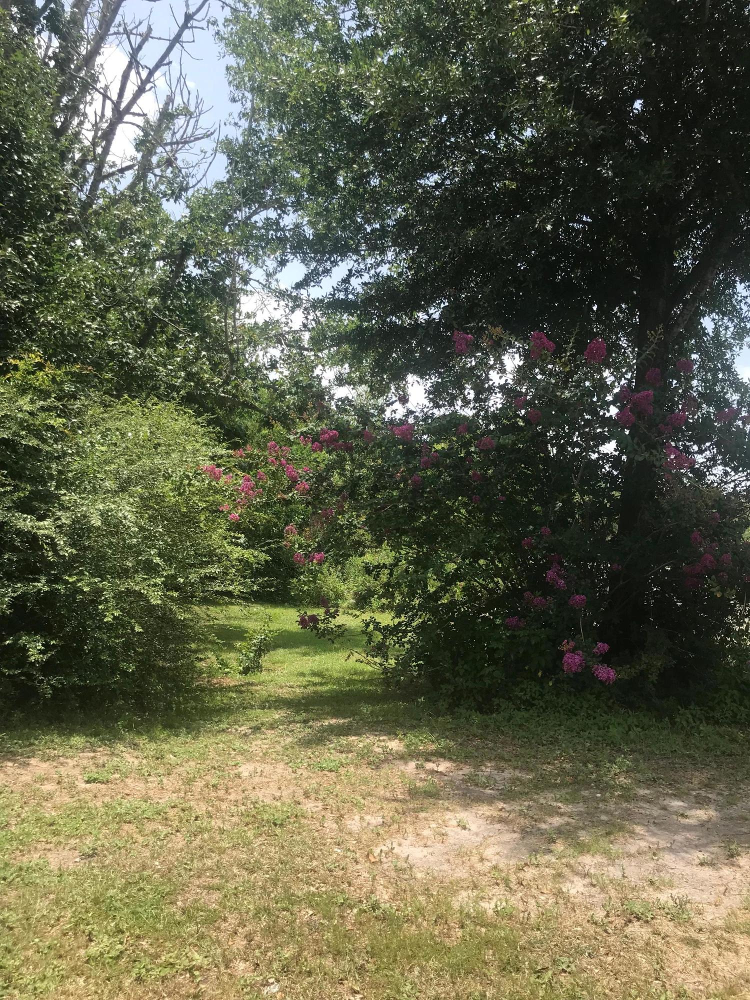 5318 Monterrey Road Crestview, FL 32539 - Photo 5 of 7 side yard