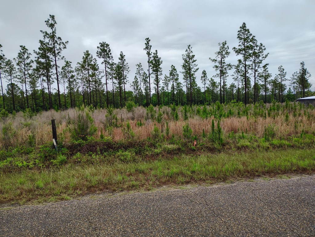0 Liberty Road Pansey, AL 36370 - Photo 2 of 2