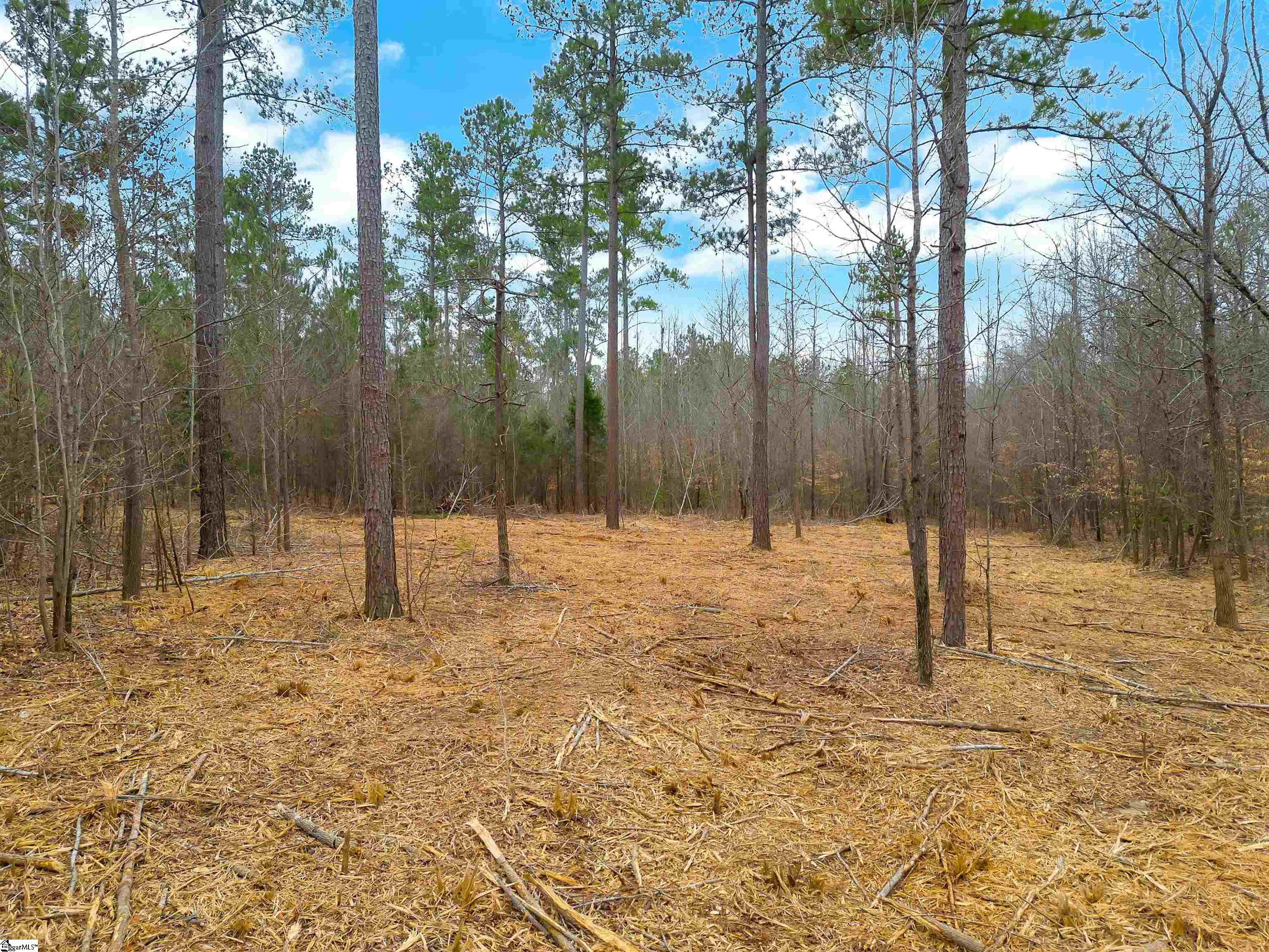 0 Mattison Road, Unit LOT 7 Belton, SC 29627 - Photo 4 of 10