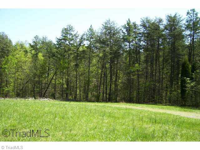 1080 Goah Way Road Germanton, NC 27019 - Photo 3 of 3 Other.