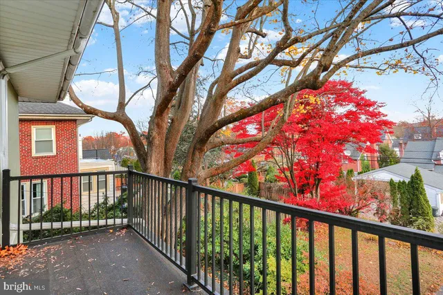 a view of a street with a tree in the background