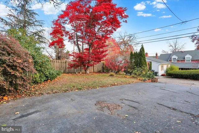 a view of backyard with wooden fence and trees