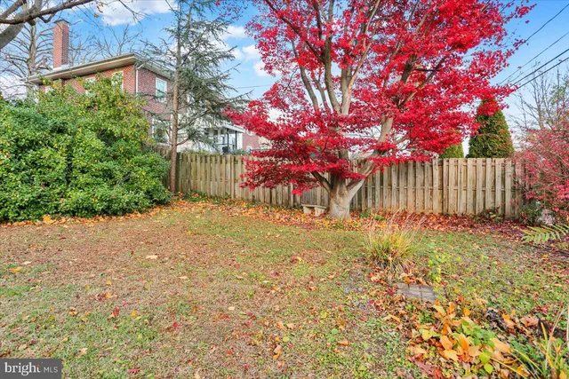 a front view of a house with a tree