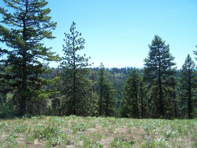 Lot 29 Gold Mountain Ranches Road Republic, WA 99166 - Photo 11 of 19 Gallery Image 11