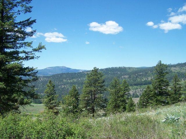 Lot 29 Gold Mountain Ranches Road Republic, WA 99166 - Photo 13 of 19 Gallery Image 13