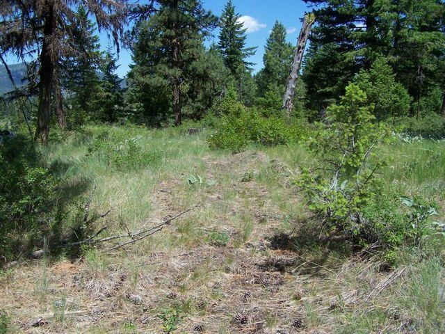 Lot 29 Gold Mountain Ranches Road Republic, WA 99166 - Photo 14 of 19 Gallery Image 14