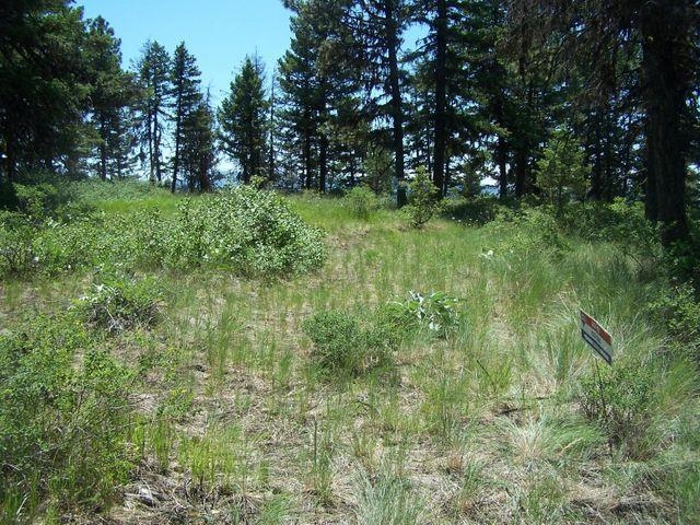 Lot 29 Gold Mountain Ranches Road Republic, WA 99166 - Photo 15 of 19 Gallery Image 15