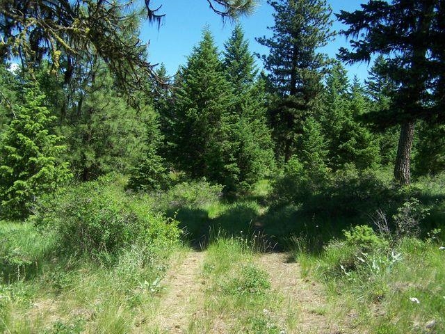 Lot 29 Gold Mountain Ranches Road Republic, WA 99166 - Photo 16 of 19 Gallery Image 16