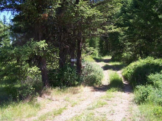 Lot 29 Gold Mountain Ranches Road Republic, WA 99166 - Photo 17 of 19 Gallery Image 17