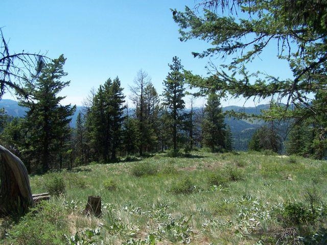 Lot 29 Gold Mountain Ranches Road Republic, WA 99166 - Photo 8 of 19 Gallery Image 8