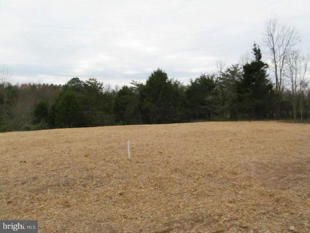 Woodward Lane Rixeyville, VA 22737 - Photo 16 of 19 a view of a dry yard and mountain
