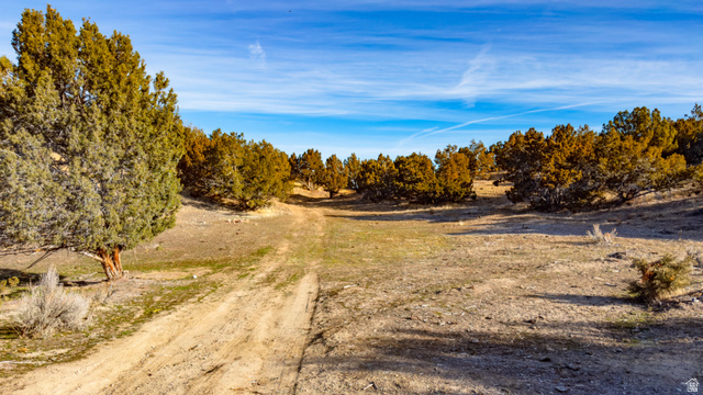 0 County Road 28 Levan, UT 84639 - Photo 47 of 207