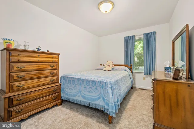 a bathroom with a sink a mirror and a shower