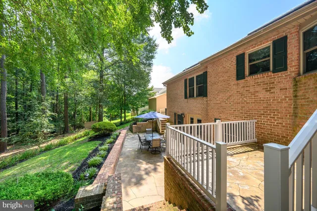 a view of a park with large trees